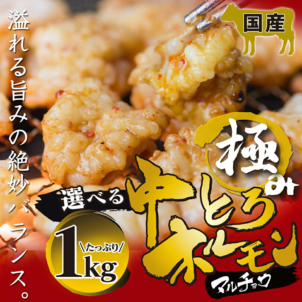 国産 牛 極上 中トロ ホルモン ( マルチョウ ) 1kg 附属タレ付き150ml×2 ◆選べる「タレ揉み・白ホルモン・タレ×白」◆ 　丸腸 冷蔵 卒業 退職 入学 入社 お花見 BBQ バーベキュー