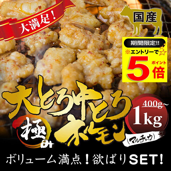 ＼必ずもらえるP5倍～♪要エントリー／ 国産 牛 極上 大・中トロ 食べ比べ ミックス ホルモン ( マルチョウ ) ( 400g 700g 1kg 選べる 内容量 ) もつ鍋 冷蔵 中元 ギフト お祝いの商品画像
