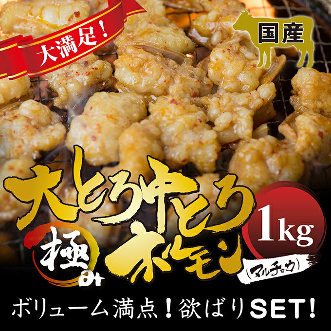 国産 牛 極上 大・中トロ 食べ比べ ミックス ホルモン ( マルチョウ ) 1kg 附属タレ付き 150ml×2 冷蔵 ホルモン鍋 丸腸 卒業 退職 入学 入社 お花見 BBQ バーベキュー