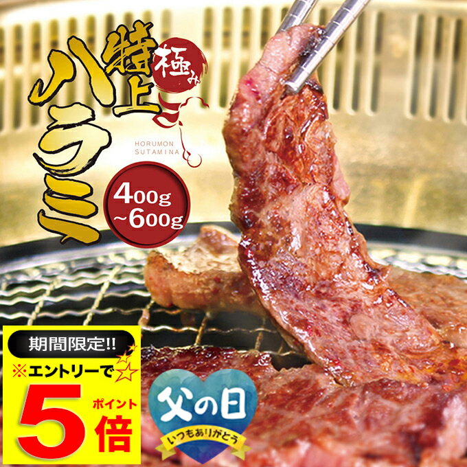 ＼【期間限定】エントリーだけでP5倍／ 極み 特上 ハラミ 