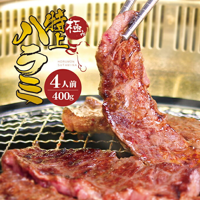 極み特上ハラミ 400g 3〜4人前 【セット購入で増量おまけ特典】ホルモン バーベキュー BBQ お祝い 焼肉 ホルモン鍋 ホルモン揚げ タレ ホルモン焼き もつ鍋 たれ　ホルモンセット 御祝い お祝い ホルモンうどん 誕生日 昼ご飯 ミックス セット 敬老の日 運動会 タレ