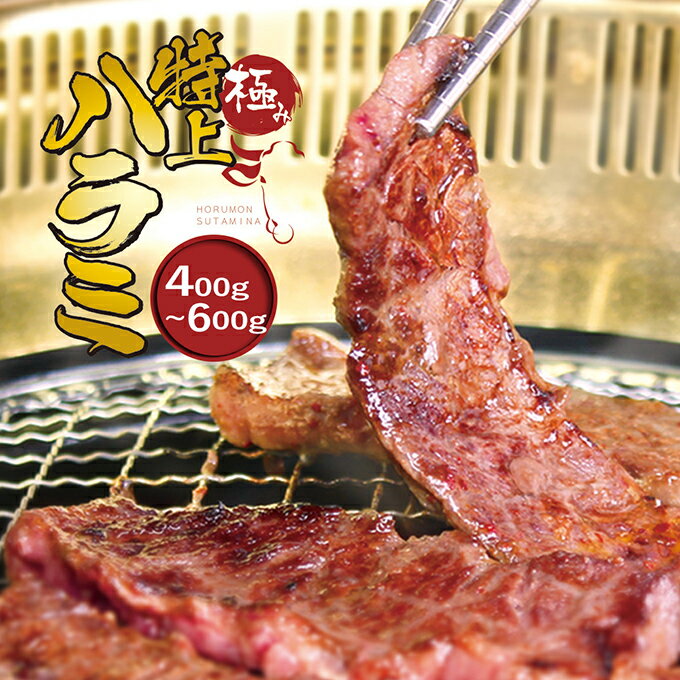 大阪鶴橋・タレ漬け超柔らかい牛ハラミ500g ハラミ 焼肉 韓国 食品 焼き肉 バーベキュー BBQ 韓国料理 お取り寄せ 韓国グルメ 冷凍便