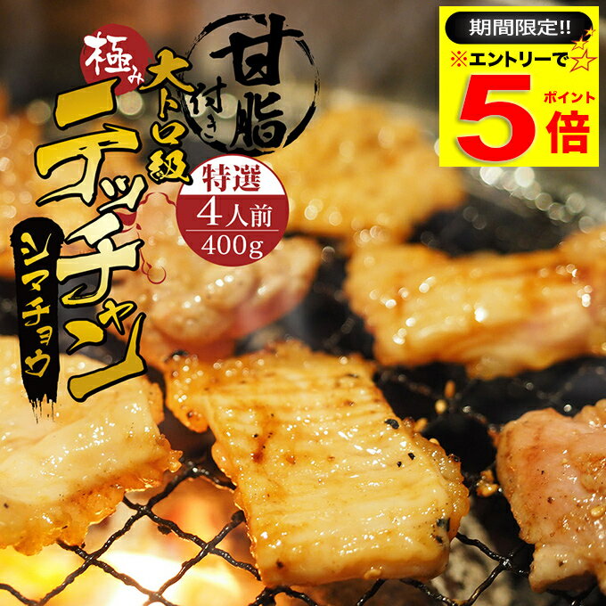 ＼必ずもらえるP5倍♪要エントリー／ 特選 極み シマチョウ テッチャン 400g 附属タレ付き ◆ ...
