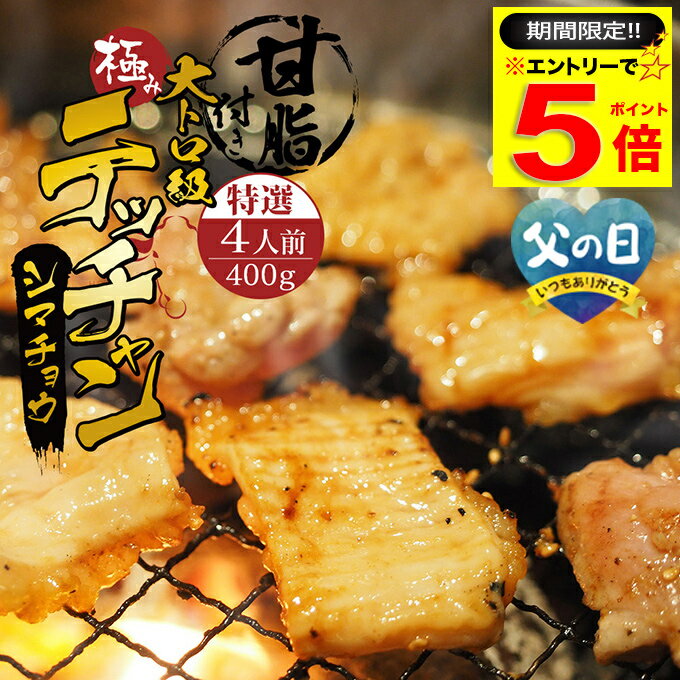 ＼【期間限定】エントリーだけでP5倍／ 特選 極み シマチョウ テッチャン 400g 附属タレ付き ◆選べる「タレ揉み シロ タレ×シロ」◆ 冷蔵 甘脂付き 焼肉 もつ鍋 冷蔵 中元 ギフト お祝い