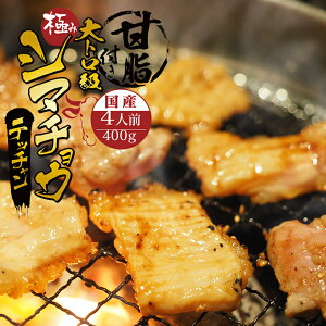 国産 黒牛 極み シマチョウ テッチャン 400g 附属タレ付き ◆選べる「タレ揉み・シロ・タレ×シロ」◆ 冷蔵 甘脂付き 焼肉 もつ鍋 冷蔵 お歳暮 冬 ギフト お祝いの画像