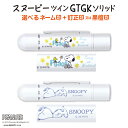 【ポスト投函送料無料】スヌーピー ツイン GTGKソリッド (タニエバー ネーム印+訂正印(GT)またはネーム印+黒檀印(GK) ) 浸透印 認印 セット はん...