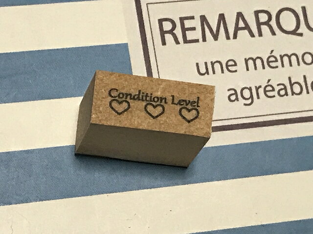 スタンプラブ 手帳スタンプ 体調管理スタンプ 手帳 スタンプ ネコポス発送OK
