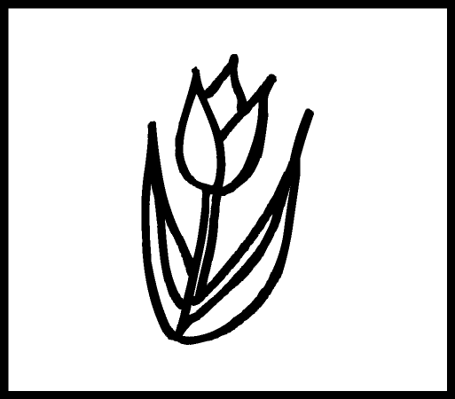 【ネコポス発送OK！】植物スタンプ チューリップ