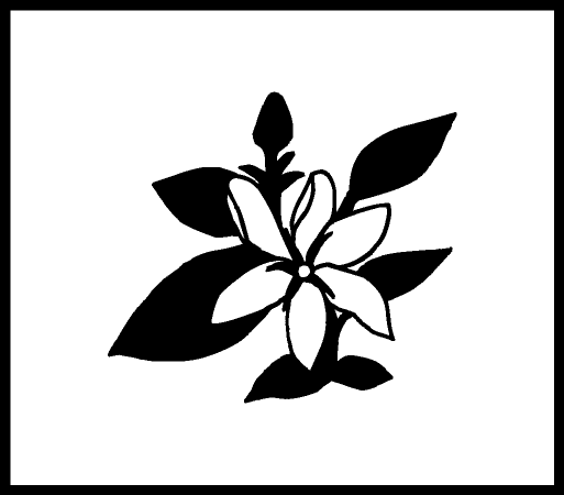 Rakuten - 【ネコポス発送OK！】植物スタンプ　クチナシ