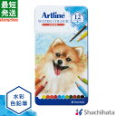 アートライン Artline 水彩色鉛筆 12色セット【12色セット】 シャチハタ シヤチハタ公式 色鉛筆 12色 KCP-12C/H ギフト プレゼント 贈り...
