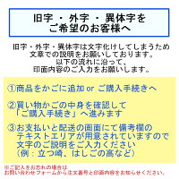 【送料無料】ネームペンポケット【印面付き】【シャチハタ/はんこ/ハンコ/ネームペン/ボールペン/贈り物/プレゼント/お祝い/記念品/ギフト/卒業記念】/■●
