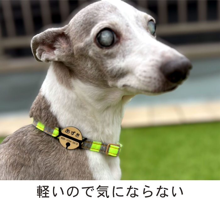 【鈴】ぶらぶらしない迷子札 超軽量 犬 いぬ 猫 ねこ ペット 首輪 犬用迷子札 名前...