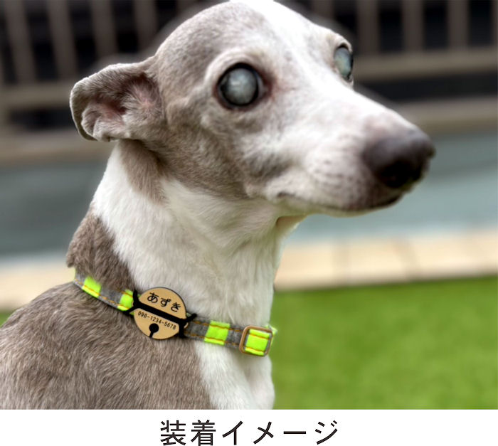 【寝る猫】ぶらぶらしないペット用ネームプレート迷子札 超軽量 犬 いぬ ペット 首...