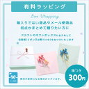 【有料ラッピングチケット】有料 ギフト ギフトボックス ラッピング 包装 出産祝い プレゼント 誕生日 リボン 熨斗 のし