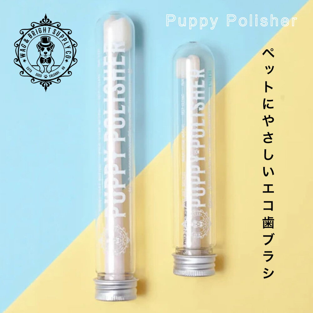 ペット用エコハブラシ 犬 ペット用 歯ブラシ Wag&Bright エコ バイオプラスチック イギリス おしゃれ 北欧 お手入れ 歯磨き トリミング 清潔 やさ...