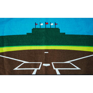【刺繍無料 送料無料】野球 スポーツタオル スタジアムデザイン フェイスタオル ベースボール プレゼント ネーム刺繍無料 名入れ 無料 サービス 文字刺繍 卒業記念品 卒団記念品 卒部記念品 野球部 ソフトボール部