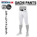 【サイズ交換無料】ミズノ 野球 ユニフォームパンツ ショートフィット ガチパンツ 練習パンツ 大人 一般 高校野球 12JD2F67 高校生 中学生 練習用 練...