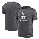 ナイキ ロサンゼルス・ドジャース 半袖 Tシャツ ベースボールシャツ MLBオーセンティックコレクション Los Angeles Dodgers Nike Bl...