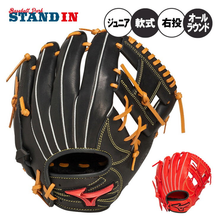 2025ǥۥߥ ǯ   饦 ꤲ M ɥ饤 å IBEꥫ顼 ǯ 1AJGY332...