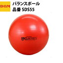 D&M ディーエム エクササイズボール 55cm SDS55 バランスボール 自宅 運動 宅トレ 家トレ 筋トレ tr20ss(4)