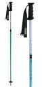 24-25 KIZAKI キザキ RACING SL レーシング SL KPBD-0090 レーシング スラローム アルミ ストック ポール スキー$