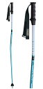 24-25 KIZAKI キザキ RACING GS レーシング GS KPBD-0093 レーシング GS ジャイアントスラローム アルミ ストック ポール ...