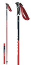 24-25 SWIX スウィックス ワールドカップ SL FA105-00 アルペン ポール ストック レーシング$