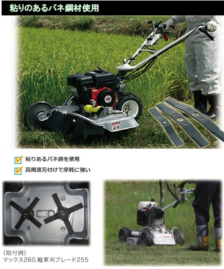 ���ۥ᥿�� ���������𴢵��� ���𴢥֥졼��255�ե꡼ 0458