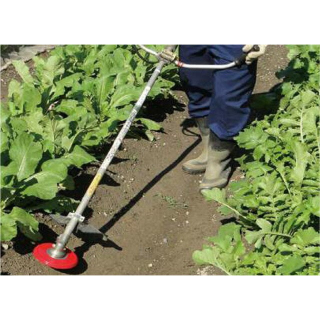 ���ۥ᥿�� Ȫ�Υ������С� 0859 Ȫ���� ��ʧ����