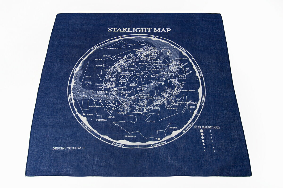 ��ŷ�����¥Х���ʹ���100�����