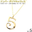 FOREST OF THE JEWELRY ネックレス ナンバー ネックレス ダイヤモンド ネックレス 一粒 0.01ct K18 ゴールド 数字 5 ダイヤネックレス ラッキーナンバー 大人女子 かわいい シンプル ペンダント