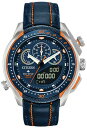 CITIZEN JW0139-05L V`Y GRhCu 1/1000bNmOt Y v EHb` IW u[ tA yzy萔z