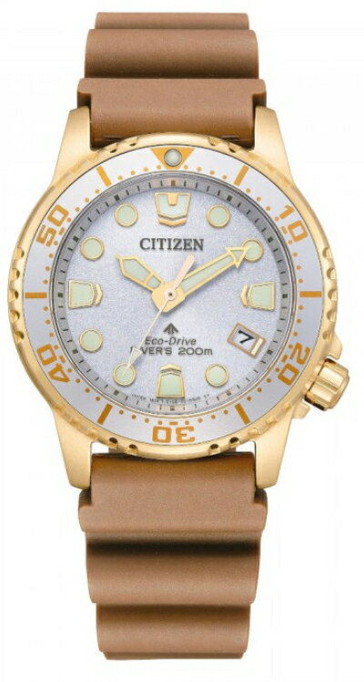 CITIZEN EO2022-02A シチズン 逆輸入 プロ