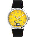 ^CbNX Xk[s[ PEANUTS Snoopy St Patrick's Day v EHb` YEHb` Timex TW2V60400