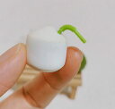 ココナッツ ミニチュア 食品サンプル ドールハウス ミニチュア小物 ミニチュアフード 南国風 トロピカル ストロー付き ジオラマ 撮影小物 飾り オブジェ ディスプレイ雑貨 インテリア フェイクフード おしゃれ 雑貨 インテリア小物 ドール小物 BJD OB11 ブライス