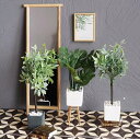 観葉植物 ドールハウス ミニチュア フラワー 植木鉢 鉢植え プランター モンステラ造花 フェイクグリーン ブライス BJD OB11 ねんどろいど 撮影小物 ...