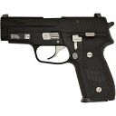 タナカ SIG P228 (M11) EVO2 モデルガン ALL HW