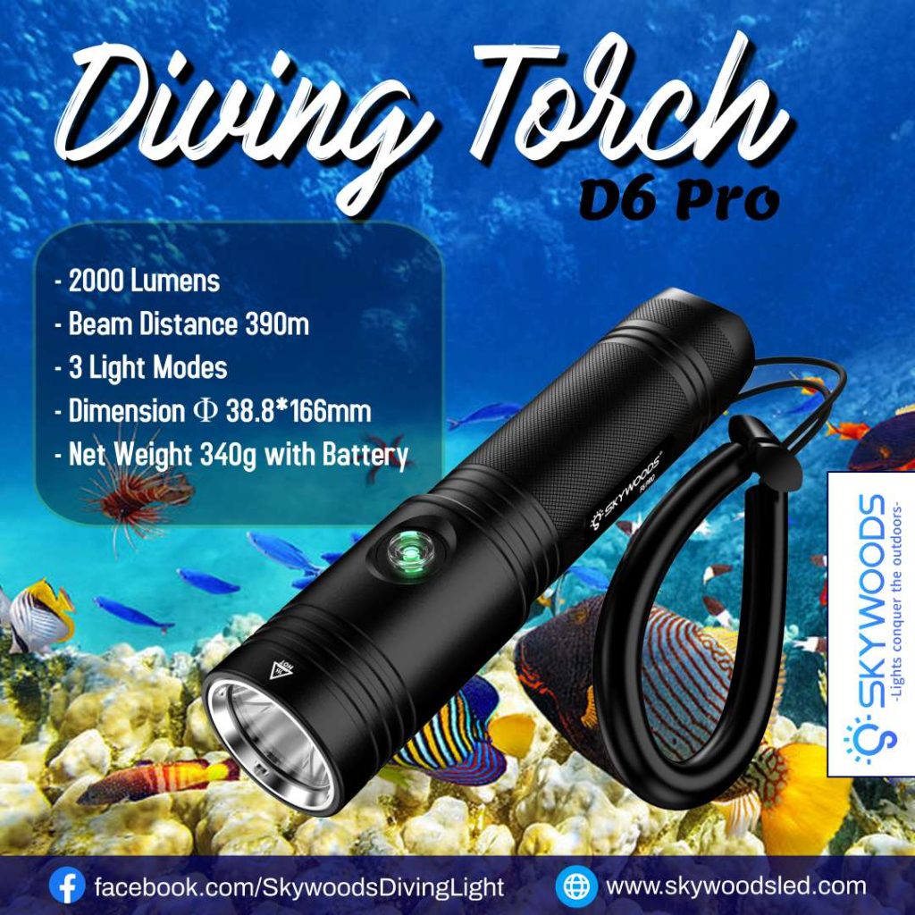 �Ժ���ե�����SKYWOODS D6 Pro �����ӥ� �ե�å���饤��
