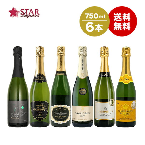 沖縄以外送料無料 スパークリングワイン6本セット750ml×6本 福袋 ワイン 白ワイン 6本セットワイン 白ワインセット WINE 結婚祝 誕生日祝 家食 通販 お取り寄せ パーティ 飲会 飲み会ワインセット 家飲み 家のみ おすすめワインセット ギフト 御中元