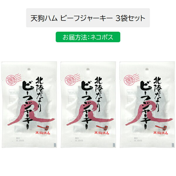 天狗ハム 北陸だよりビーフジャーキー 18g 3袋食品 プレゼントビーフジャーキー ジャーキー 父の日 お中元