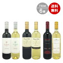 沖縄以外送料無料 スターリカーズワイン6本セット750ml×6本 福袋 ワイン 赤ワイン 白ワイン セットワイン 紅白セットワイン WINE 結婚祝 誕生日祝 ...