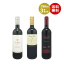 沖縄以外送料無料 スターリカーズ赤ワイン3本セット 750ml×3本 福袋 ワイン 赤ワイン セットワイン 紅ワインセット ワイン WINE 結婚祝 誕生日祝 ...