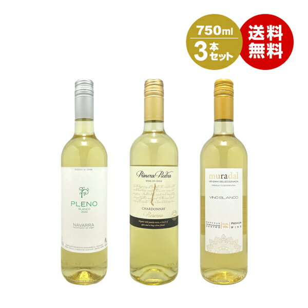 沖縄以外送料無料 スターリカーズワイン3本セット 750ml×3本 福袋 ワイン 白ワイン セットワイン WINE 結婚祝 誕生日祝 家食 通販 お取り寄せ パーティ 飲会 飲み会ワインセット 家飲み 家のみ おすすめワインセット ギフト 母の日 新生活