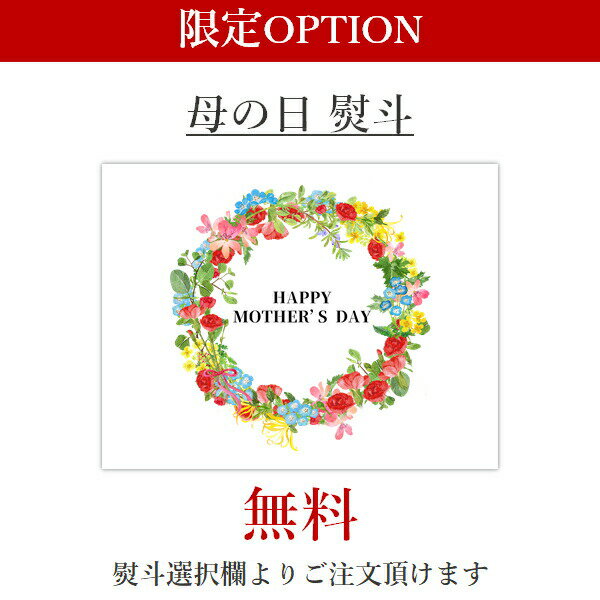 沖縄以外送料無料 サントリー ザ プレミアム モルツと缶チューハイ12本ギフトセット 350ml×12本－196℃ストロングゼロ ダブルレモン ご挨拶 ギフト サントリー 贈答品 御誕生日祝 退職祝 御祝 御礼 母の日 新生活 3