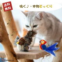 「エントリーでポイント10倍 」猫 おもちゃ 鳥 鳴く 小鳥 オウム 運動不足 ストレス発散 鳴き声 猫用おもちゃ リアル 遊ぶ 運動不足解消 ネコ 送料無料