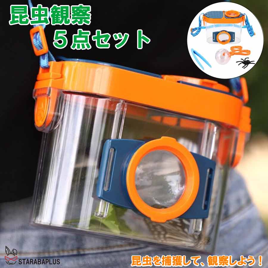 昆虫観察ボックス 自由研究 夏休み 昆虫採集キット 拡大観察ケース 虫かご 昆虫飼育箱 虫取り ピンセット 拡大鏡 2.6倍 4.5倍 探査キット 教育 子供 屋外 自由研究 送料無料のサムネイル