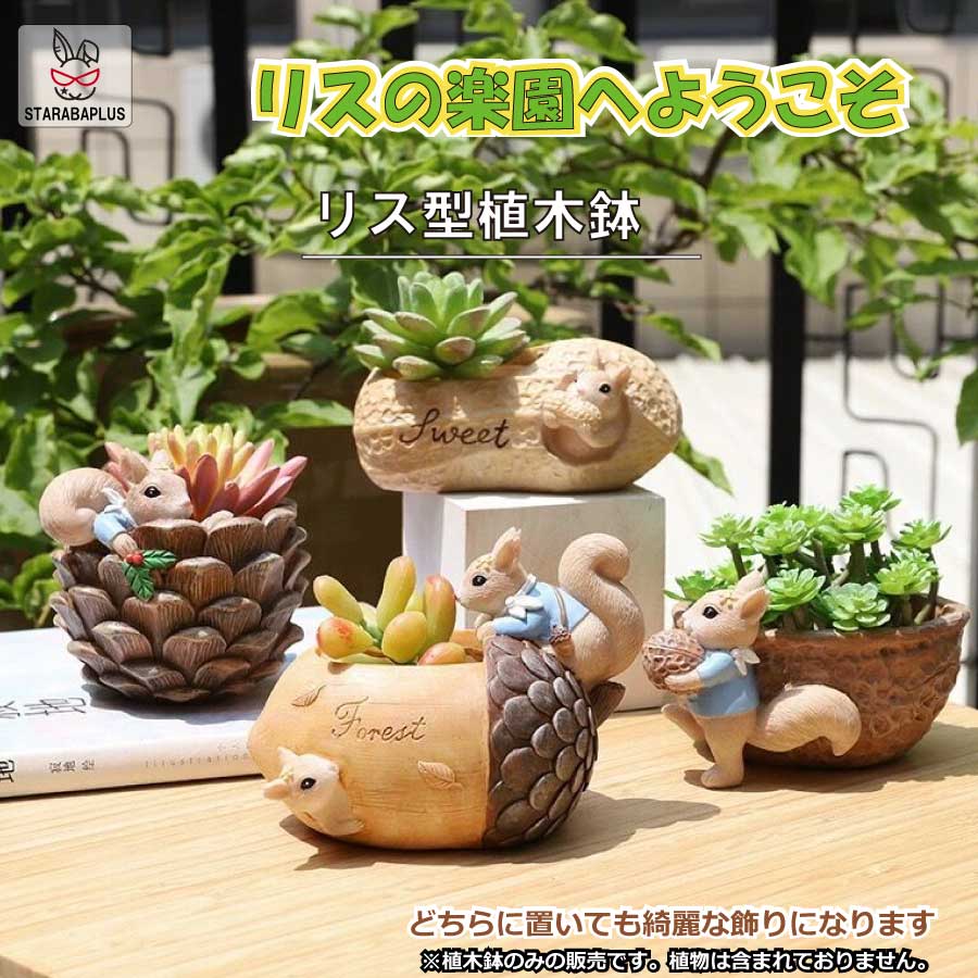 Rakuten - 【6/4〜全品ポイント10倍！】植木鉢 リス りす 母の日 ガーデニングオブジェ 鉢植え フラワープランター 多肉植物 サボテン ミニ プランター おしゃれ 可愛い 送料無料