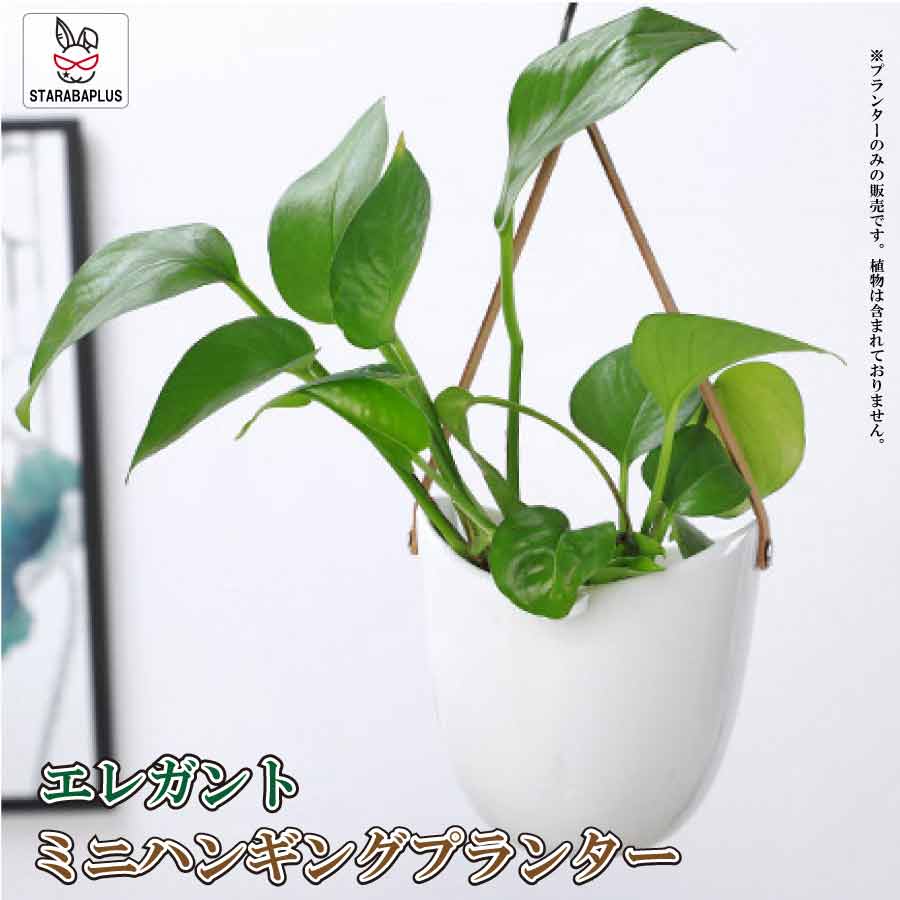 【全品対象 最大1,500円OFF】ハンギングプランター ハンギングバスケット 吊り下げ 鉢 観葉植物 植木鉢 ポット セラミック インテリア 屋内屋外 送料無料