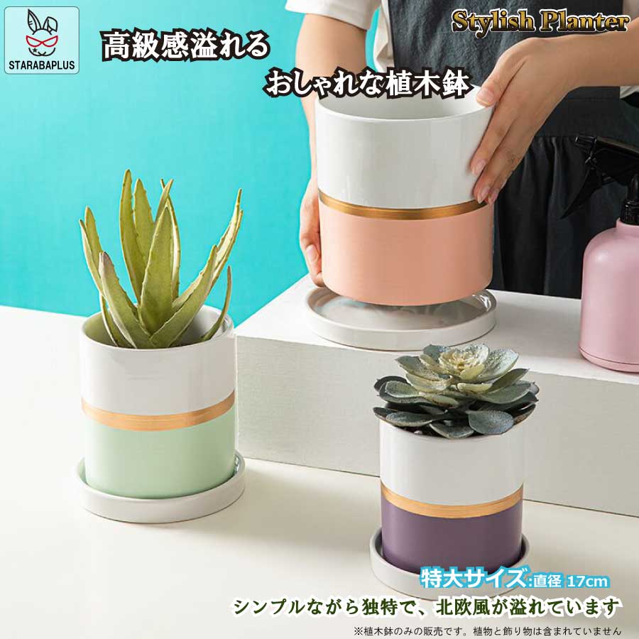 Rakuten - 【6/4〜全品ポイント10倍！】陶器鉢 植木鉢 おしゃれ 鉢植え プランター 円筒形 室内鉢 受け皿付き 穴あり 多肉植物 観葉植物鉢 送料無料