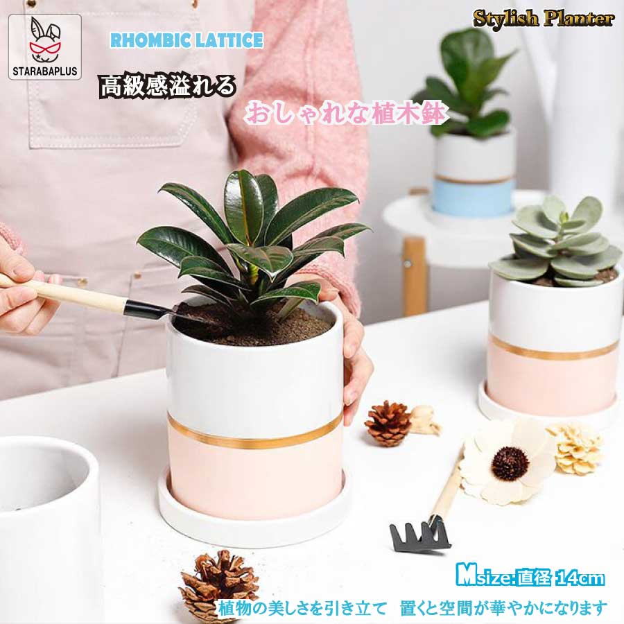 Rakuten - 【6/4〜全品ポイント10倍！】陶器鉢 植木鉢 おしゃれ 鉢植え プランター 円筒形 室内鉢 受け皿付き 穴あり 多肉植物 観葉植物鉢 送料無料